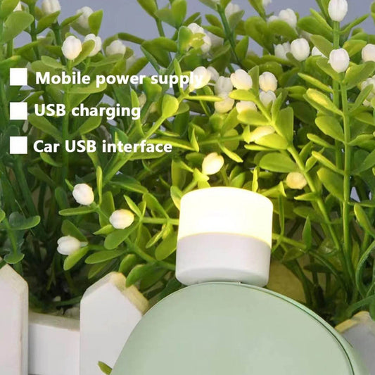 Usb Led Lamp Night Light Mini Portable For Pc And Laptop (5 Pcs Mix Color) - Best Deals at BeSh Deals®