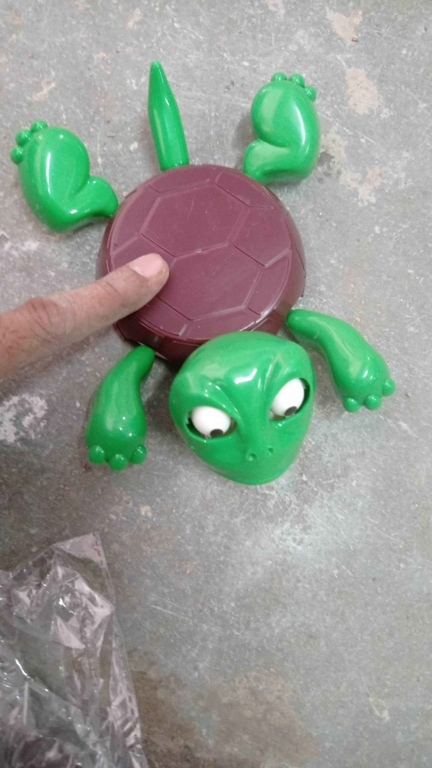 Funny Turtle Coaster - Best Deals at BeSh Deals®