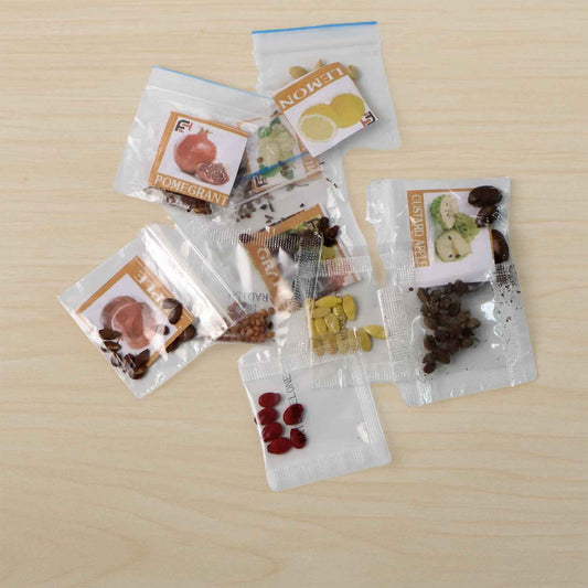 Fruit Seeds Combo Pack - (10 Pc Set)