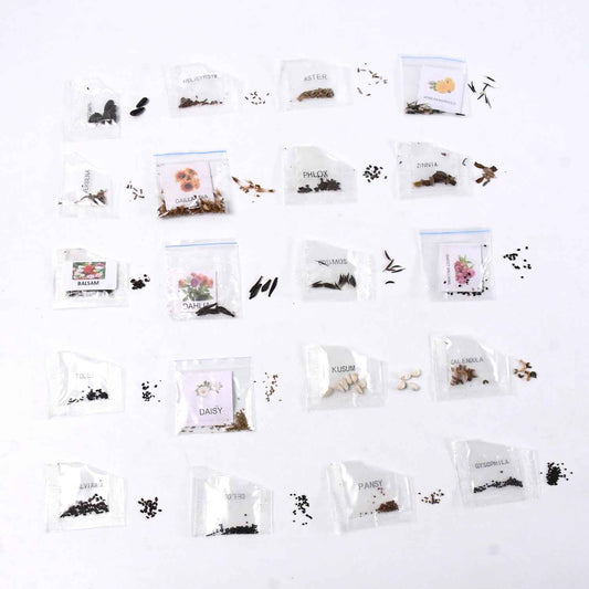 Seeds 20 Varieties Of Flower Seeds Combo (1 Pkt 20 Varieties)