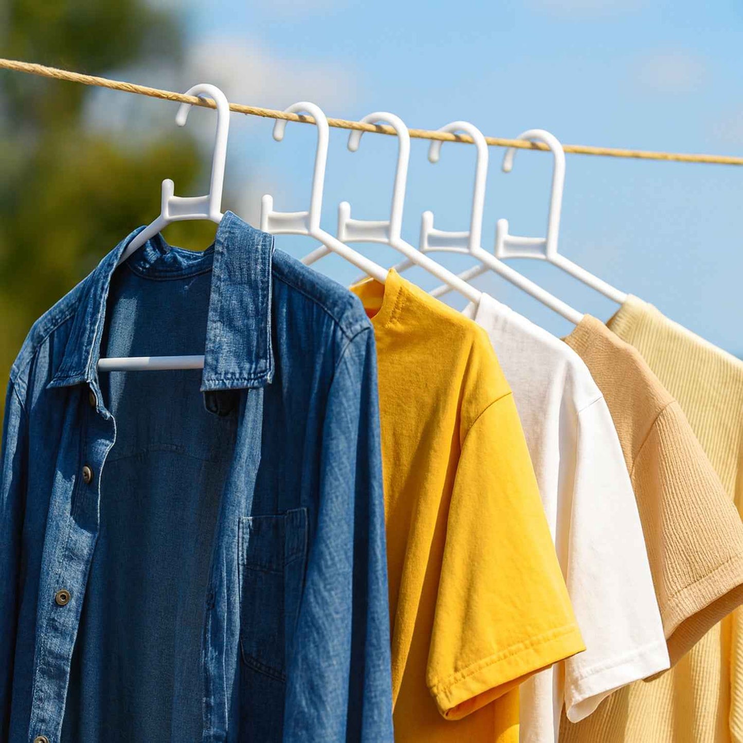 Plastic Clothes Hangers  Set Of 6