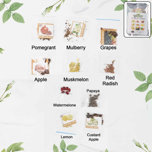 Fruit Seeds Combo Pack - (10 Pc  Set)