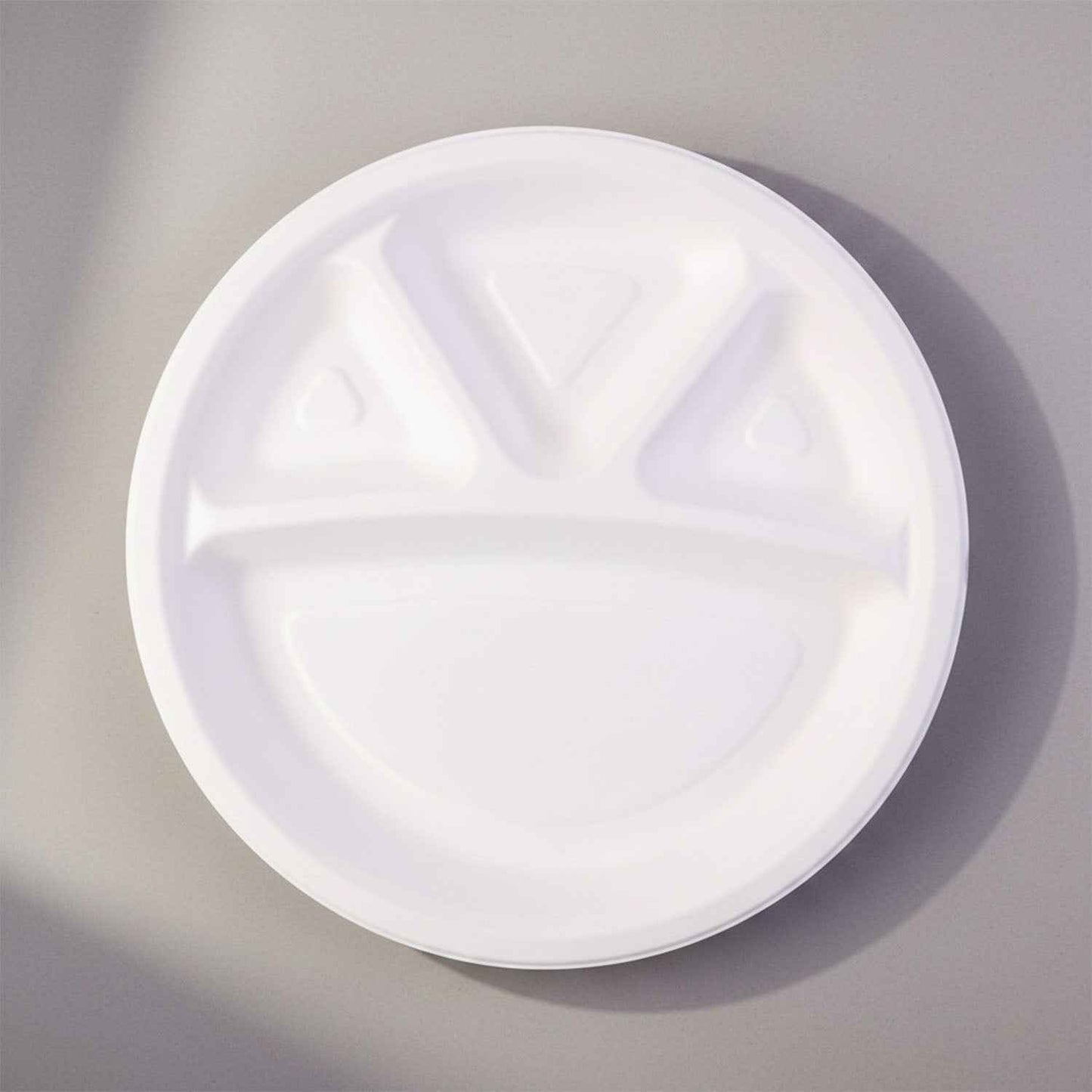Vegnar 4 Compartment Disposable Food Serving Plate Set (10 Pc)