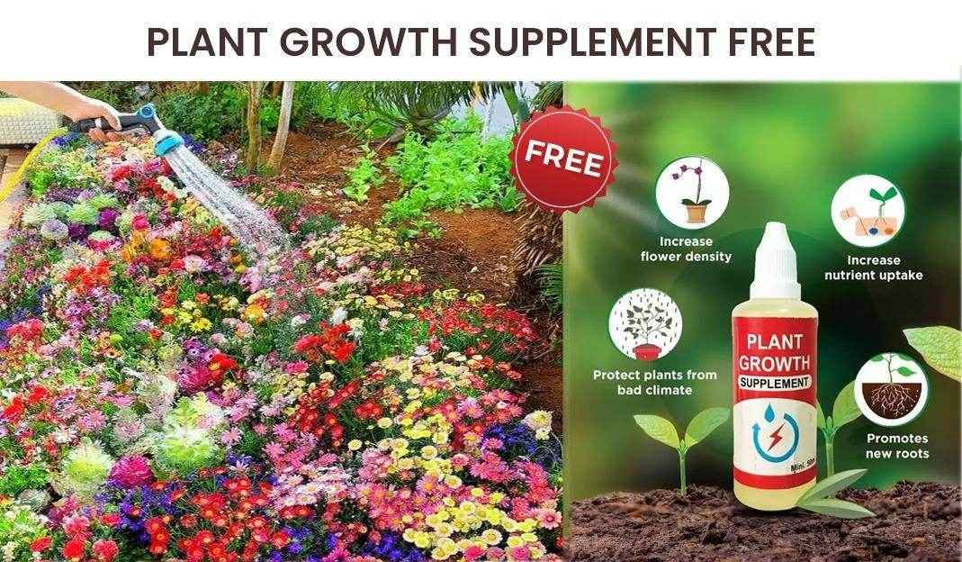 Buy Varieties of Flower Seeds (Pack of 100) And Get Plant Growth Supplement Free - Best Deals at BeSh Deals®