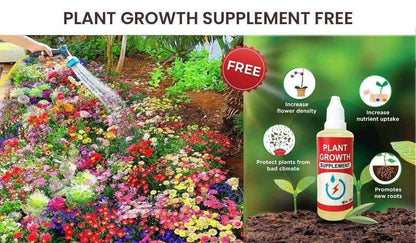 Buy Varieties of Flower Seeds (Pack of 100) And Get Plant Growth Supplement Free - Best Deals at BeSh Deals®