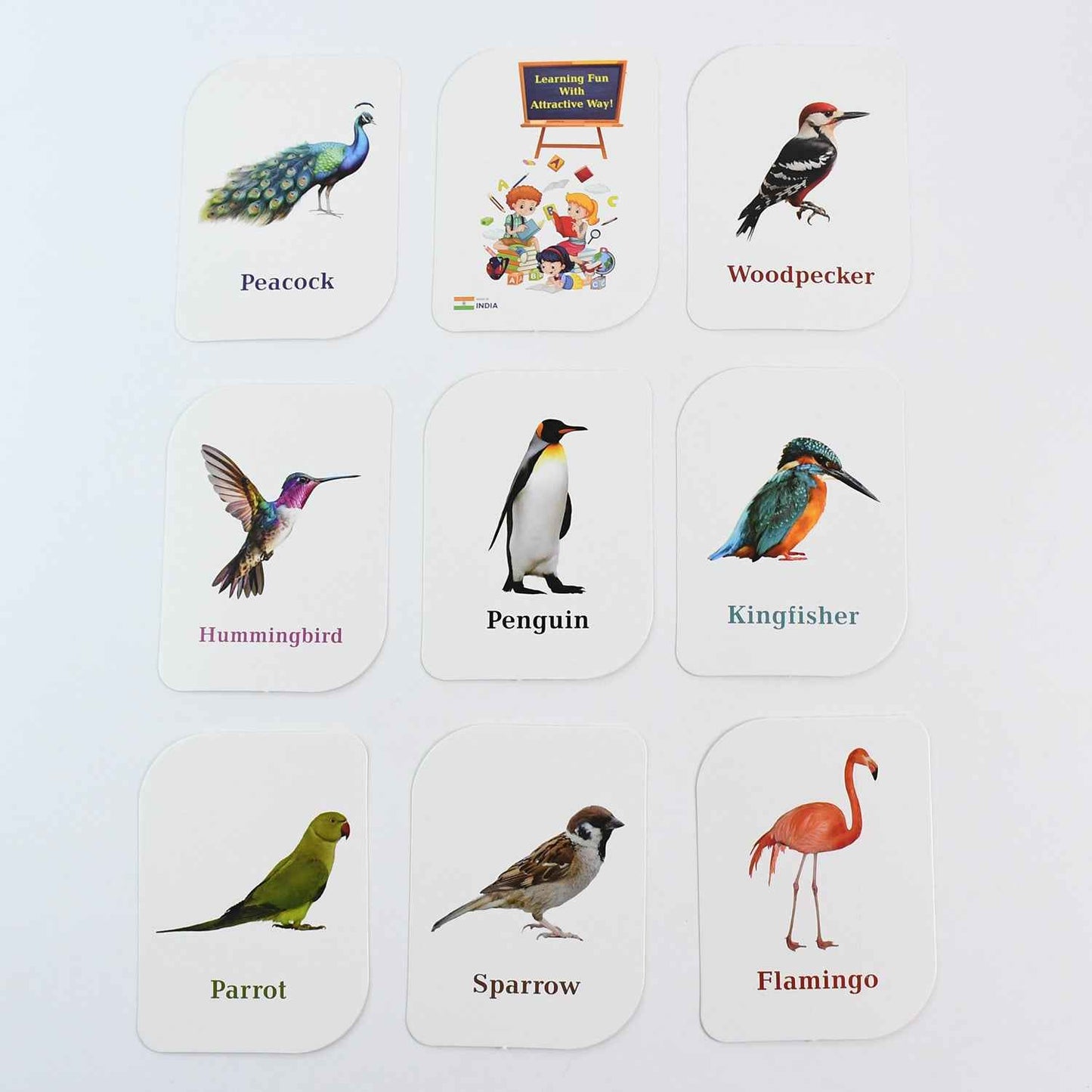 Kidkraft Early Learner Educational Flashcards  32 Birds