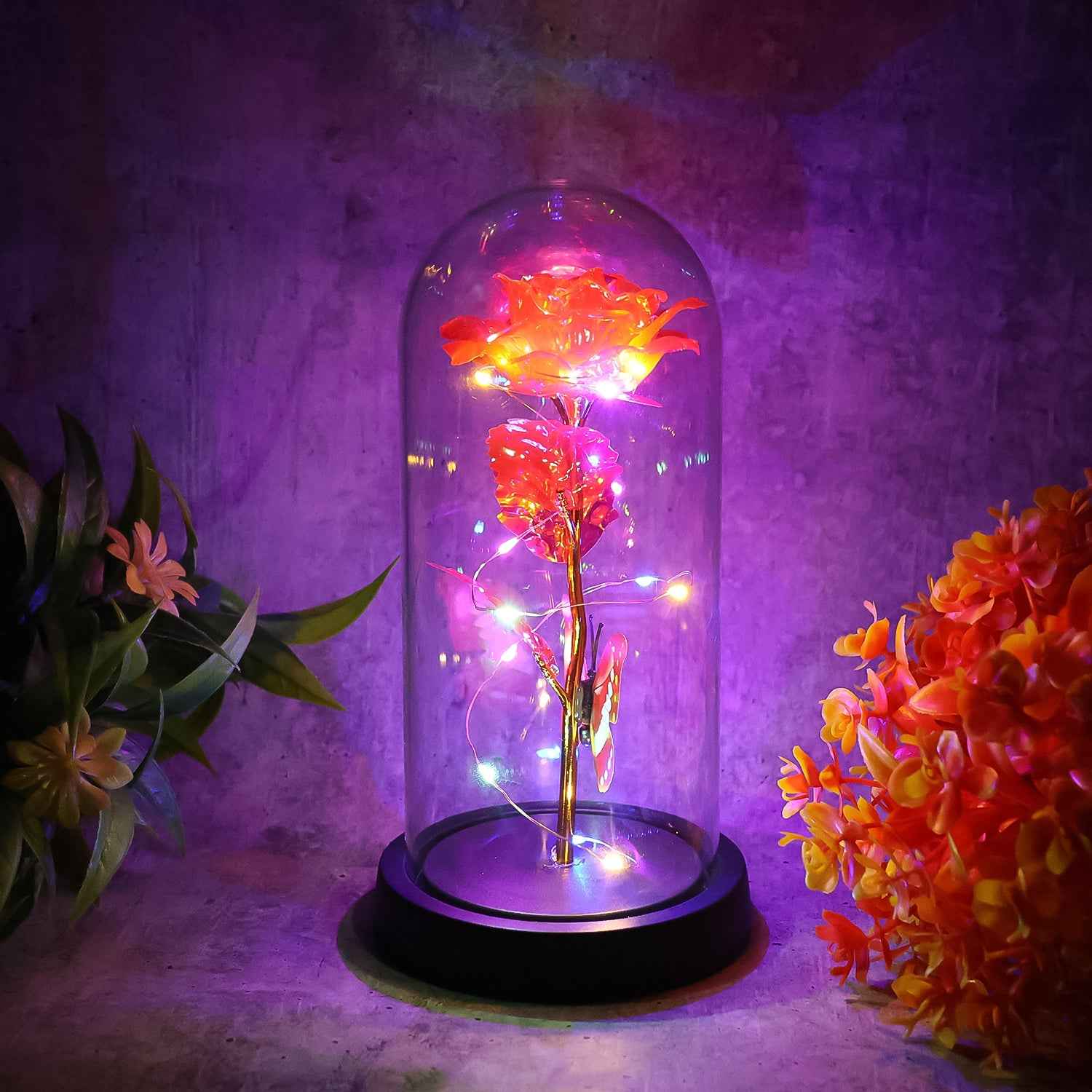 Elegant Led Eternal Rose In Plastic Dome (1 Pc  Battery Not Included)