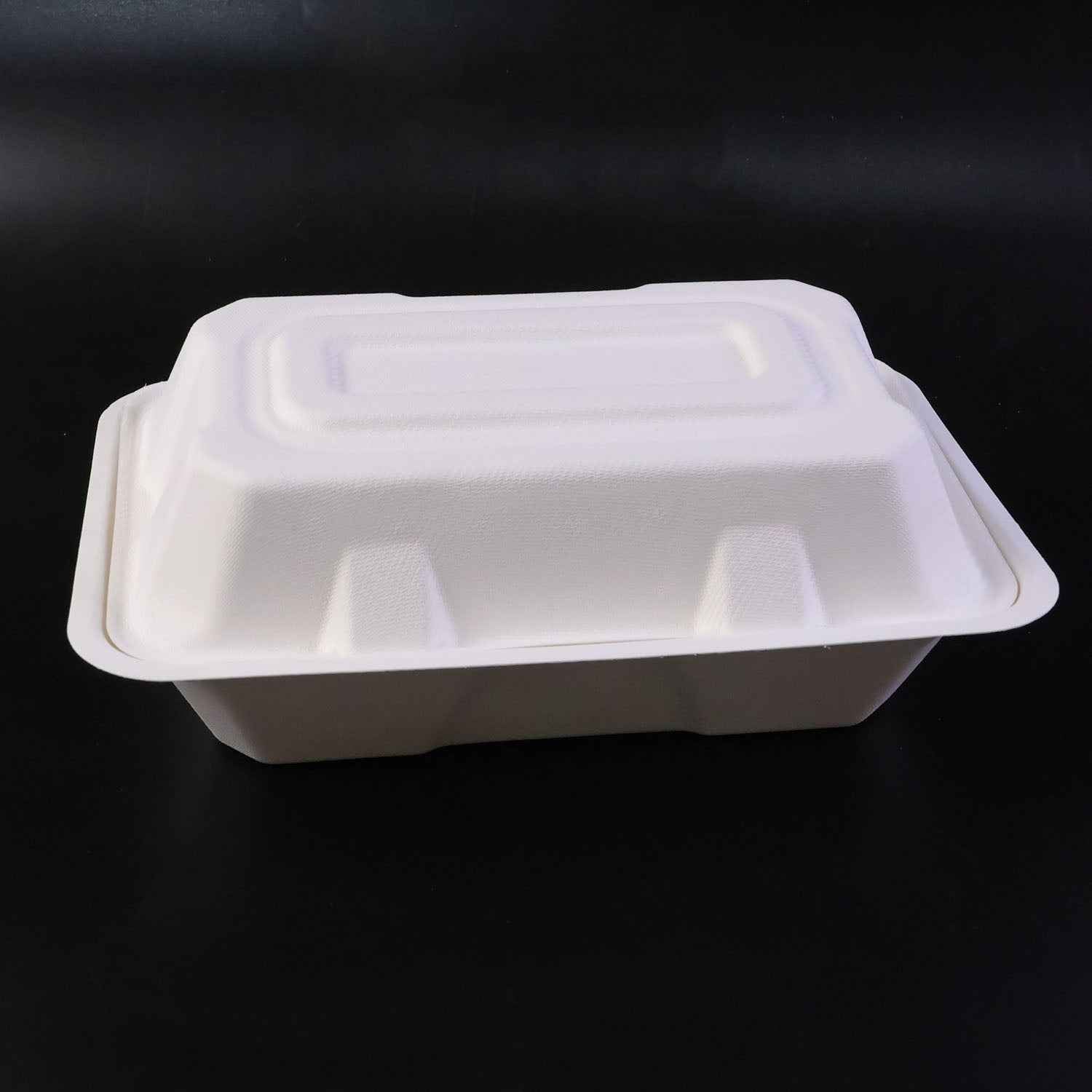 Vegnar Premium Bagasse Clamshell Food Box (10 Pc 9x6 Inch)