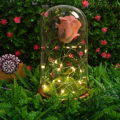 Glass Flower With Led Light Great Gift (1 Set) - by BeSh Deals® - Best Deals at BeSh Deals®