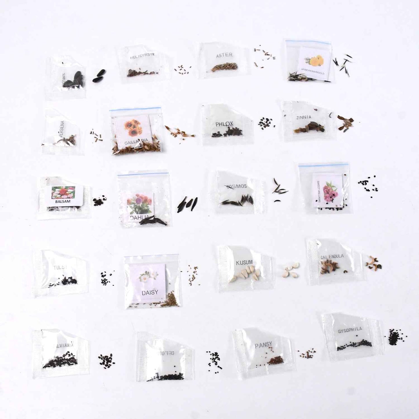 Seeds 20 Varieties Of Flower Seeds Combo (1 Pkt  20 Varieties)