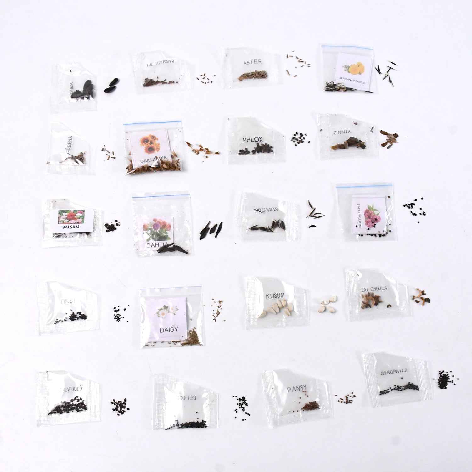 Seeds 20 Varieties Of Flower Seeds Combo (1 Pkt  20 Varieties)