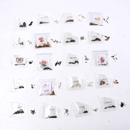 Seeds 20 Varieties Of Flower Seeds Combo (1 Pkt  20 Varieties)