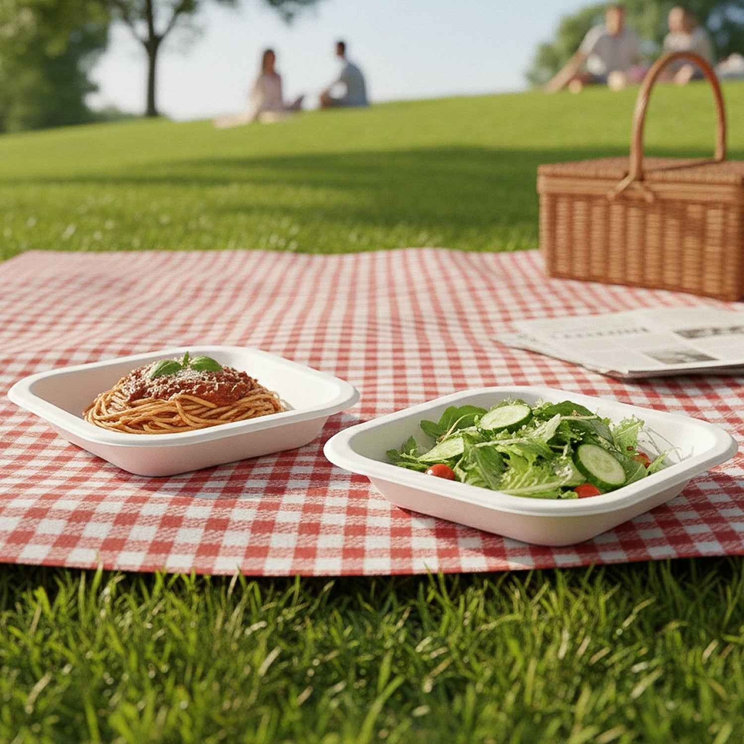 Disposable Square Food Serving Tray Set (10 Pc)