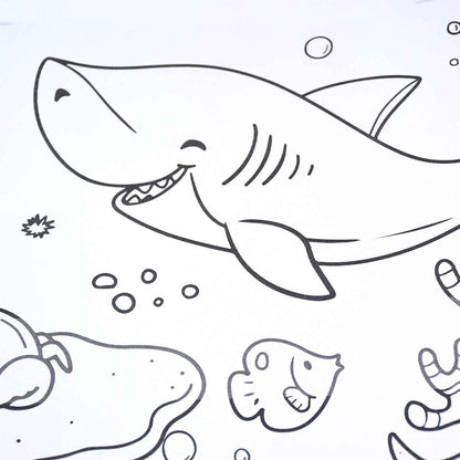 Fun And Educational Coloring Roll (1 Pc)