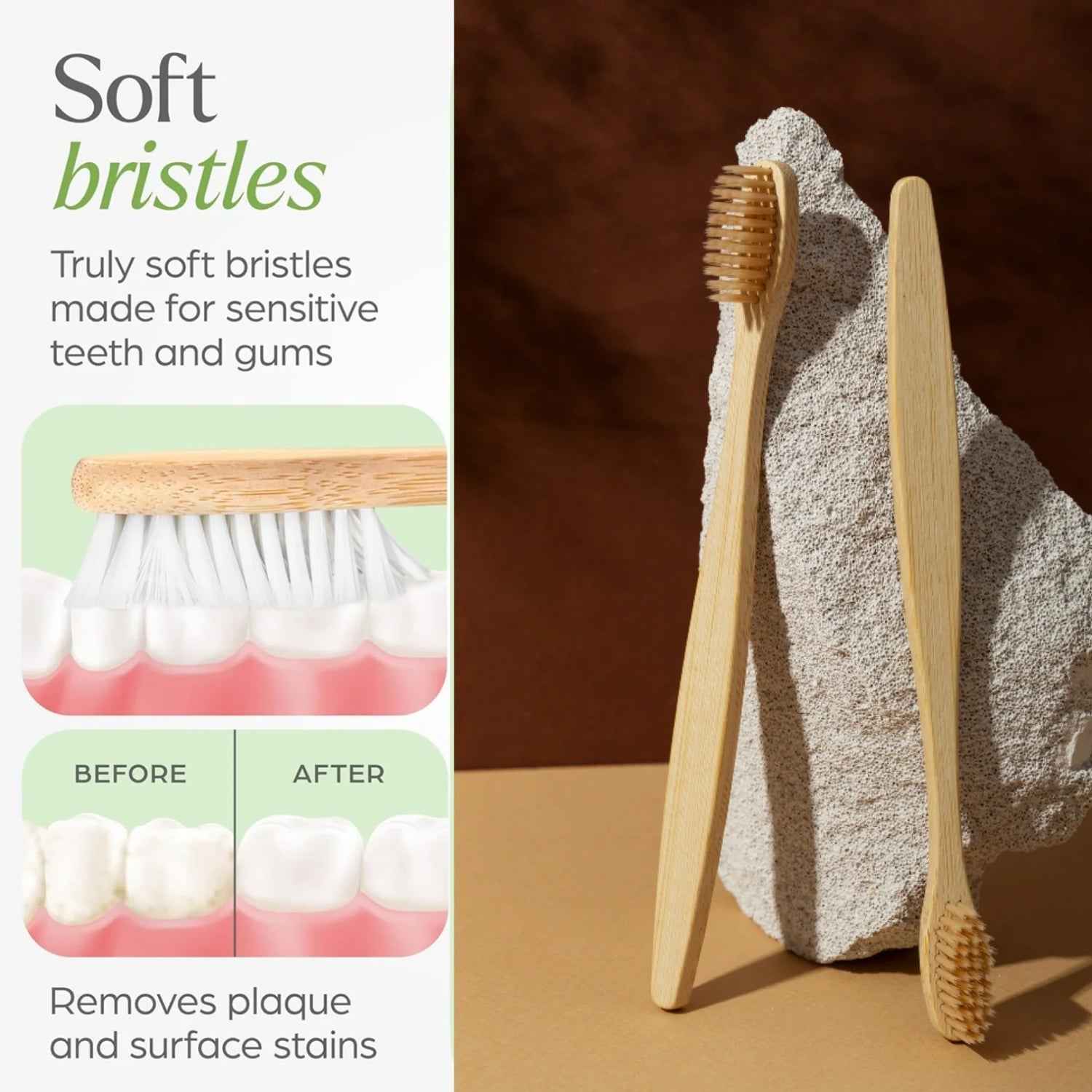 Premium Wall Mounted Toothbrush Holder Set (1 Set)