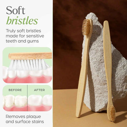 Premium Wall Mounted Toothbrush Holder Set (1 Set)