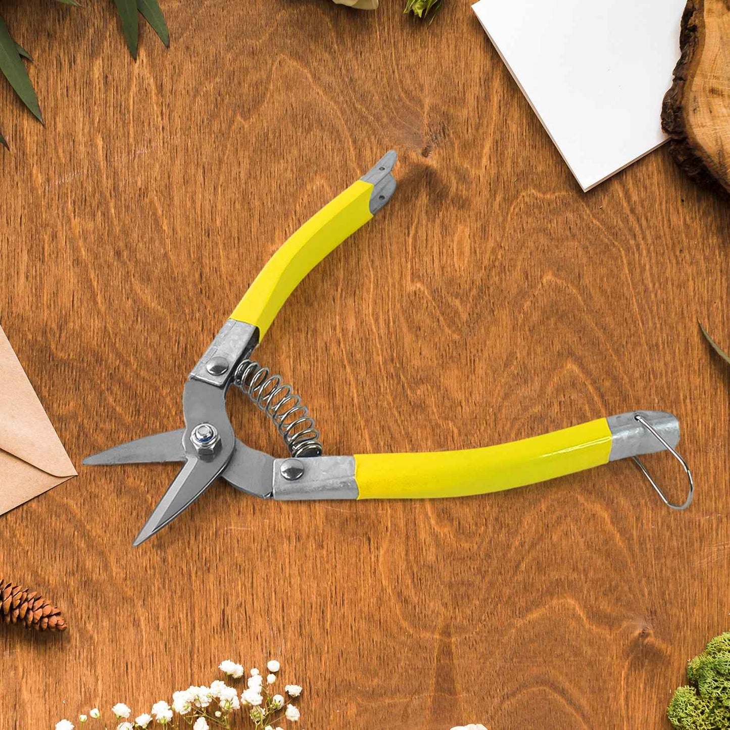 Precision Micro Garden Snip Pruning Scissor (Small)