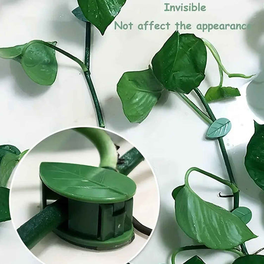 7348 Plant Climbing Wall Fixture Clip Self-adhesive Hook Vines Traction Invisible Stand Green Plant Clip Garden Wall Clip Plant Support Binding Clip Plants For Indoor Outdoor Decoration (10 Pcs Set)