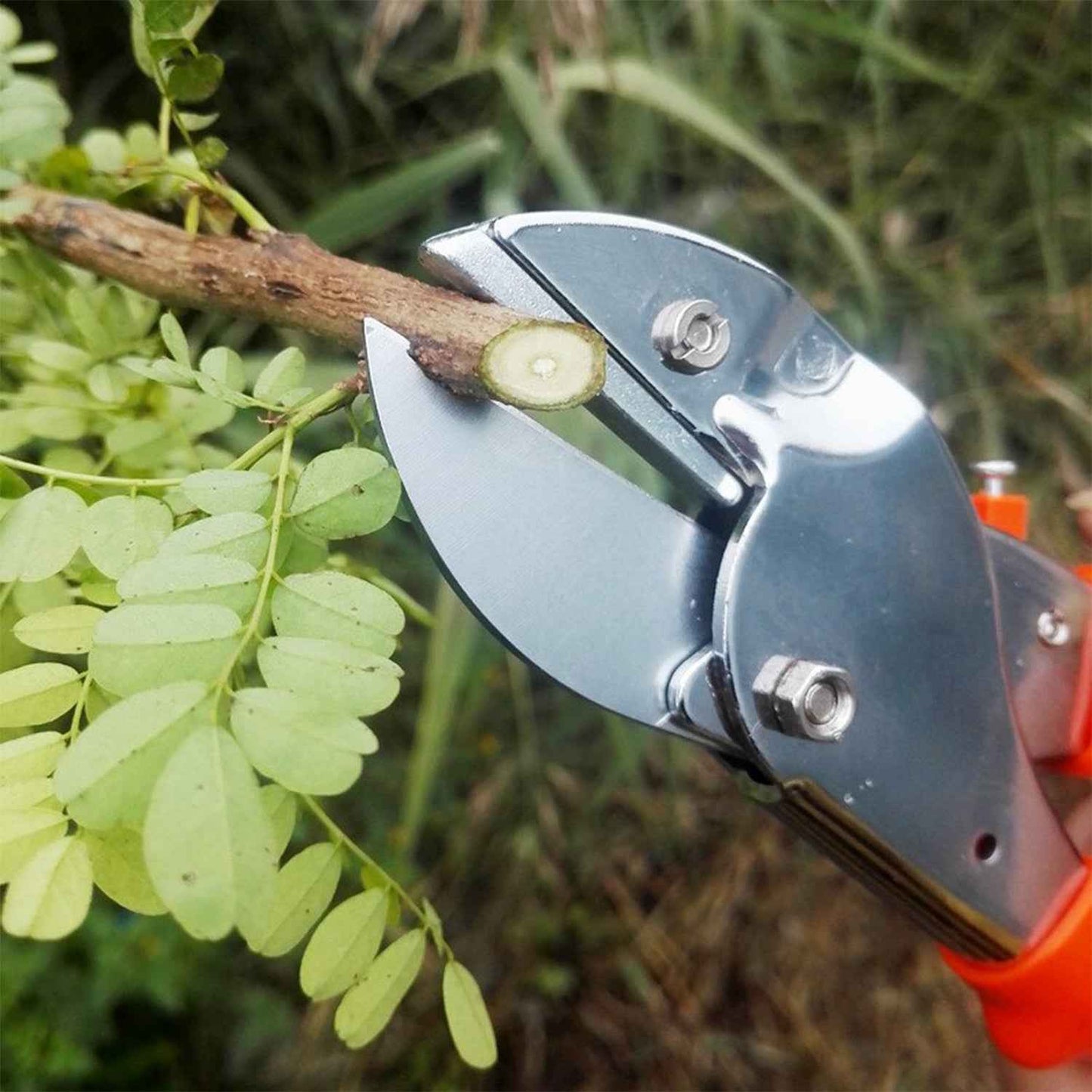 1572 Professional Garden Scissor With Sharp Blade Comfortable Handle (18cm)