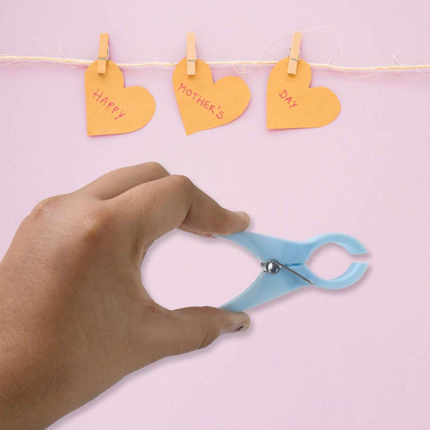 Plastic Cloth Clips (Multicolour) - Pack Of 12