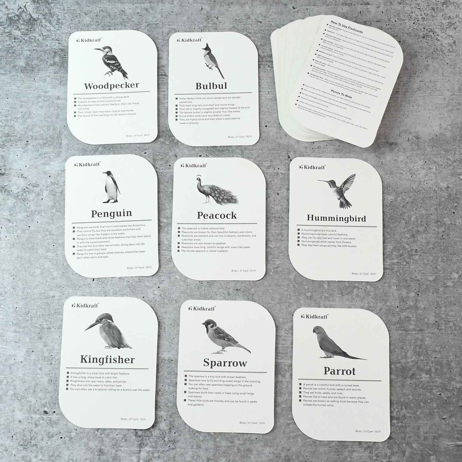 Kidkraft Early Learner Educational Flashcards  32 Birds