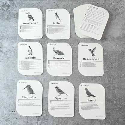Kidkraft Early Learner Educational Flashcards  32 Birds