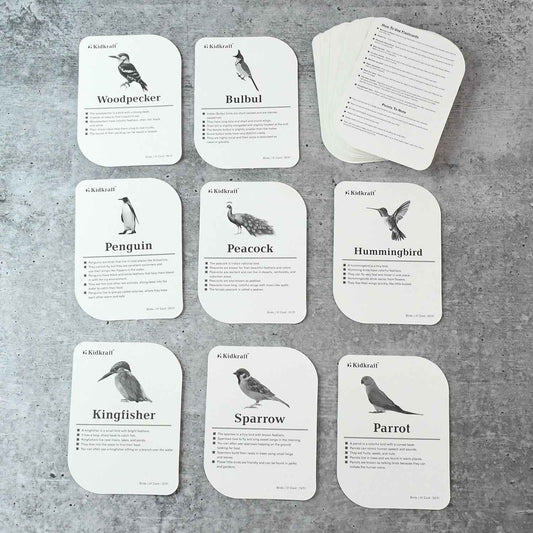 Kidkraft Early Learner Educational Flashcards  32 Birds