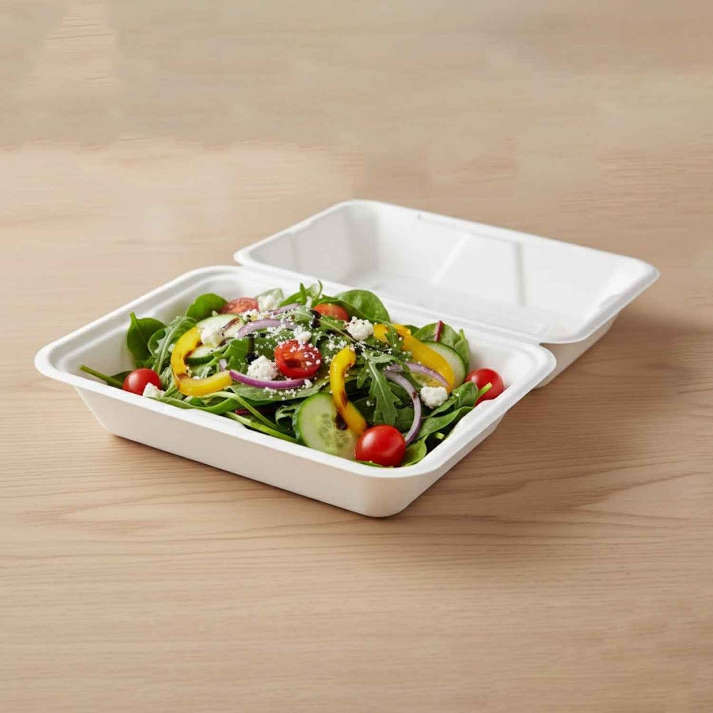 Vegnar Premium Bagasse Clamshell Food Box (10 Pc 9x6 Inch)