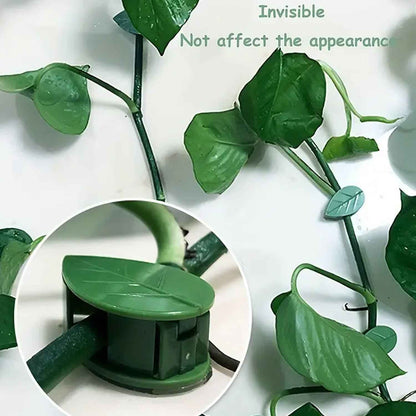 0311  Plant Climbing Wall Fixture Clip Self-adhesive Hook Vines Traction Invisible Stand Green Leaf Plant Clip Garden Wall Clip Plant Support Binding Clip Plants For Indoor Outdoor Decoration (30 Pcs Set)