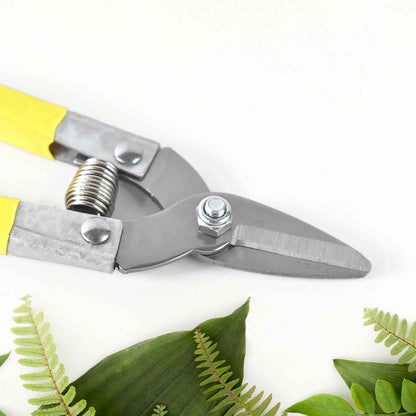 Precision Micro Garden Snip Pruning Scissor (Small)