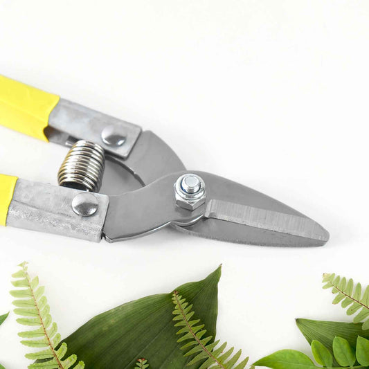 Precision Micro Garden Snip Pruning Scissor (Small)